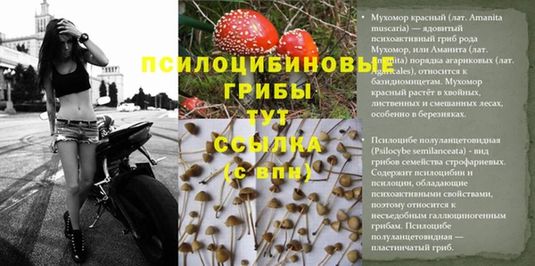 мет Зерноград