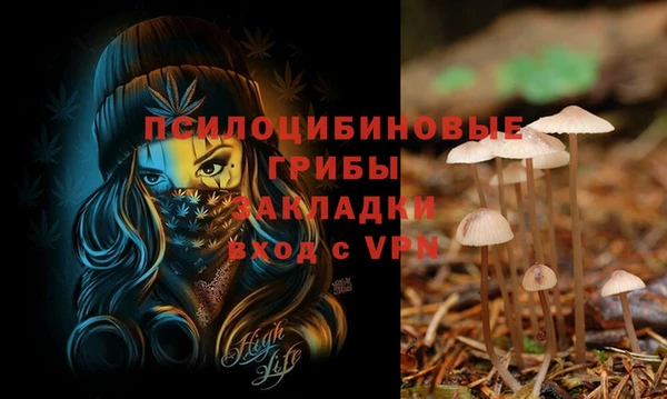 MDMA Зеленокумск