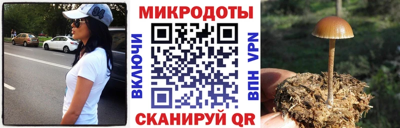 Псилоцибиновые грибы мицелий  Купить где  Снежногорск 