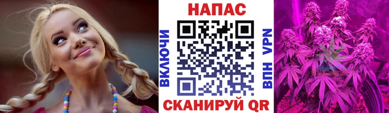 Купить где  Снежногорск  Бошки Шишки ГИДРОПОН 